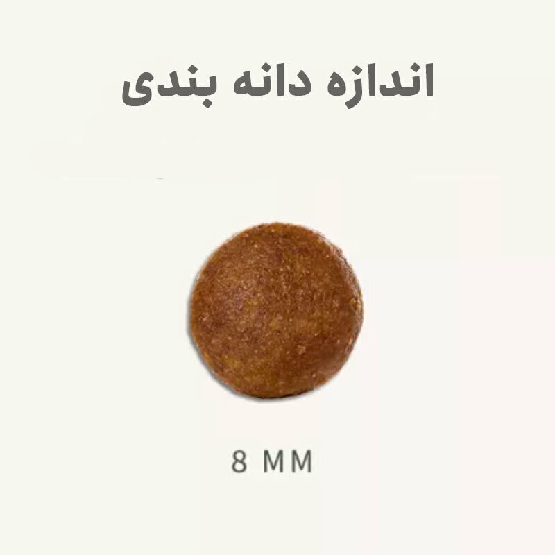  تصویر دانه غذای خشک گربه مخصوص دستگاه گوارش بابین وزن 1.5 کیلوگرم 
