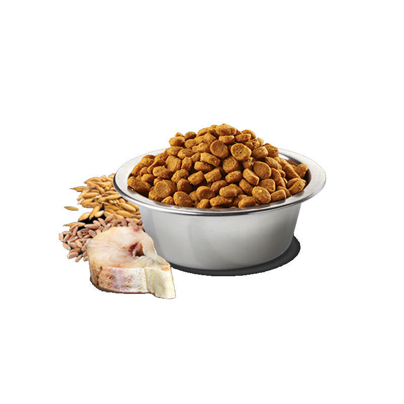تصویر محتویات غذای خشک سگ نژاد کوچک با طعم پرتغال و ماهی کاد ان اند دی وزن 800 گرم