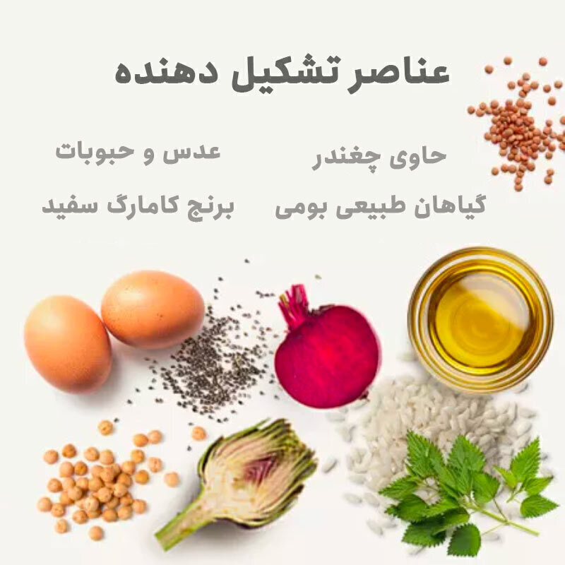  تصویر توضیحات غذای خشک بچه گربه عقیم شده بابین وزن 3 کیلوگرم 